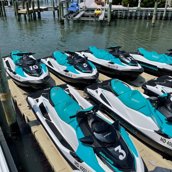 a row of parked motorcycles sitting on the beach